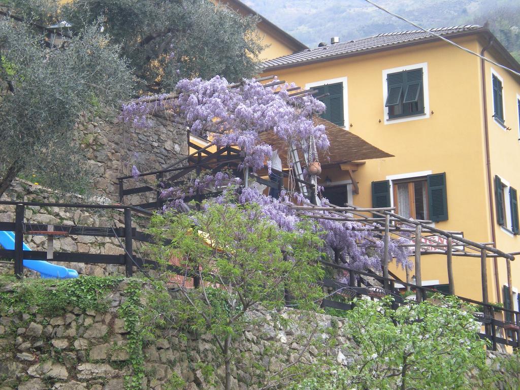Agriturismo Il Sogno Lorsica 外观 照片
