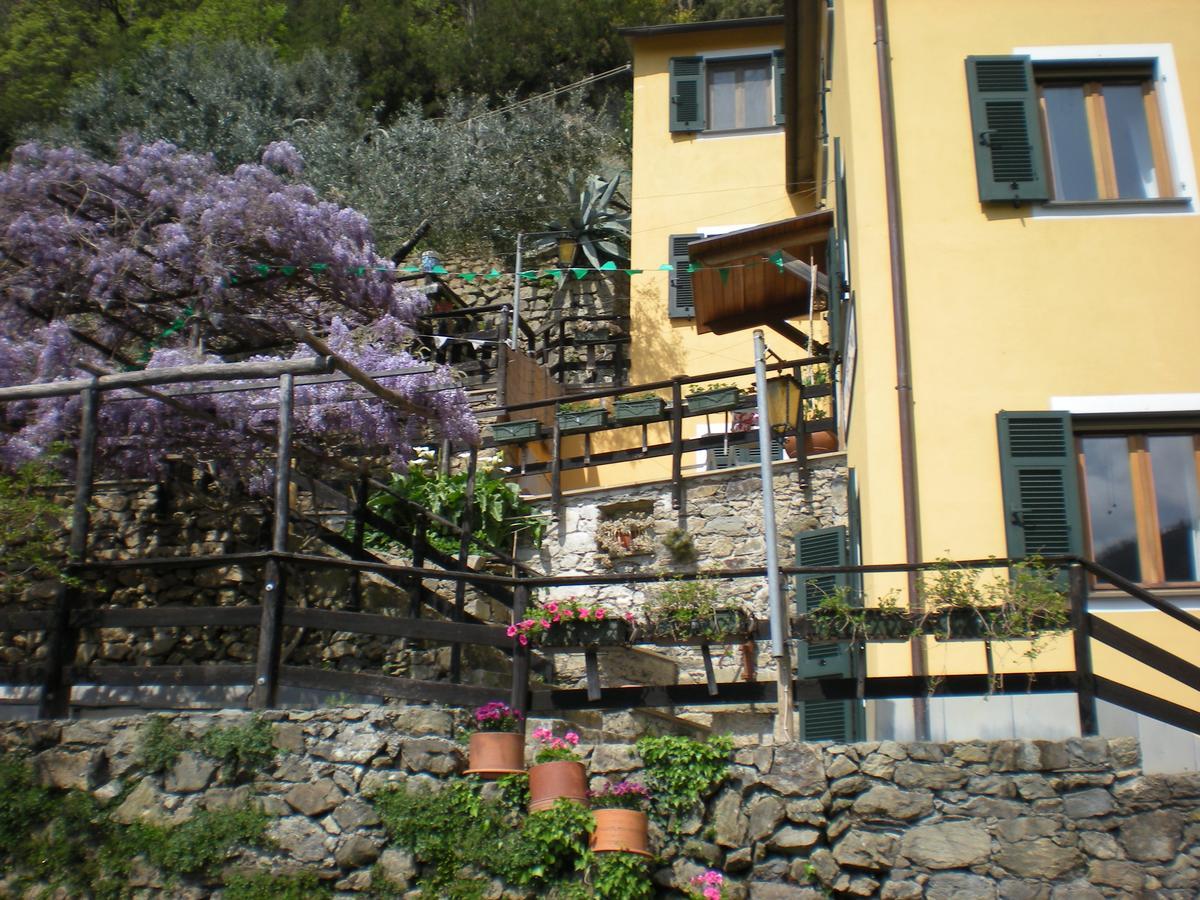 Agriturismo Il Sogno Lorsica 外观 照片