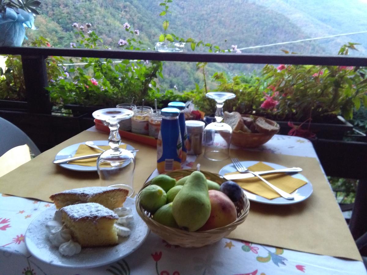 Agriturismo Il Sogno Lorsica 外观 照片